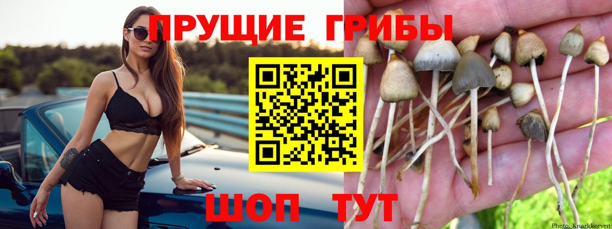Псилоцибиновые грибы Psilocybe  Вход с VPN  Кимры  Галлюциногенные грибы ЛСД 