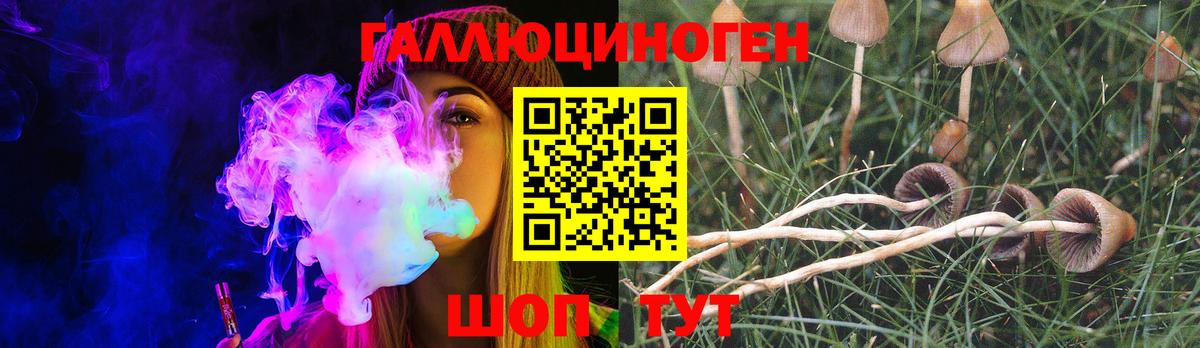 Галлюциногенные грибы Cubensis Кимры